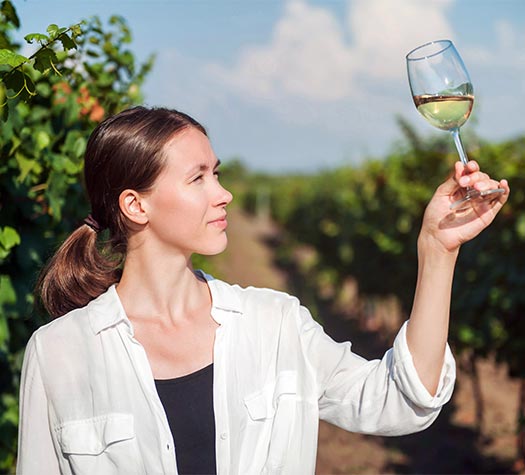 Noia fent un tast de vi blanc en una vinya