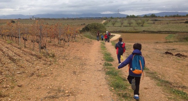 Nens fent la ruta amb els seus pares al fons en un camí per les vinyes d'Estol Verd