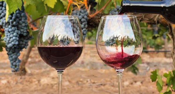 copa de vi amb vi de les rutes enoturístiques d'orientast